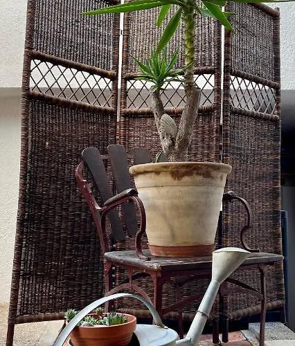 Matacin With Sea View *